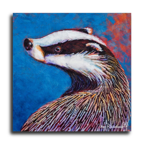 Rainbow's Shoulder by Ann Richmond - A Painting of a turning Badger. Limited inventory remains in our Print Sale...