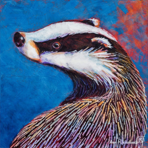 Rainbow's Shoulder by Ann Richmond - A Painting of a turning Badger. C/W Letter of Provenance & Story. Framing Available.