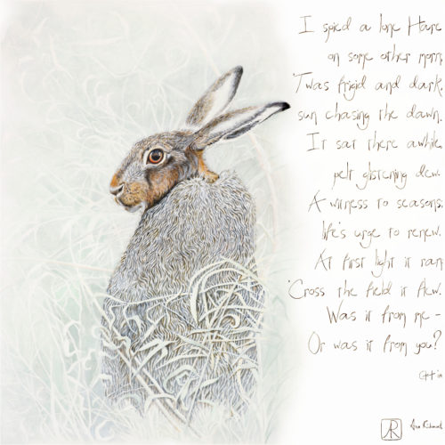 I Spied a Hare by Ann Richmond - A soulful painting of a pale Hare & poem. C/W Letter of Provenance & Story. Framing Available.