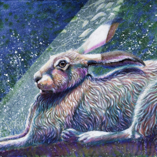 Moonlight Hare by Ann Richmond - A soulful painting of a moonlit Hare. C/W Letter of Provenance & Story. Framing Available.