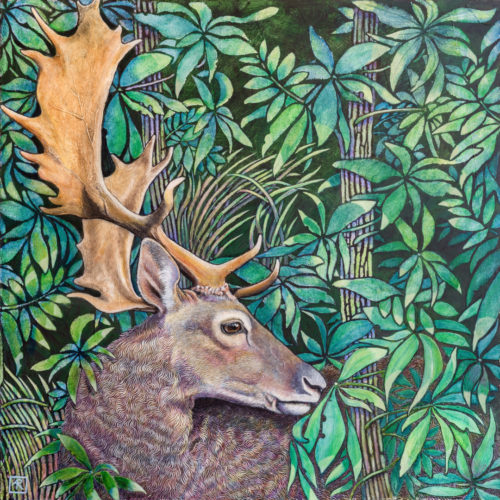 Fallow Deer by Ann Richmond - A beautiful Fine-Art Print of a Fallow Deer. Limited inventory remains in our Print Sale...
