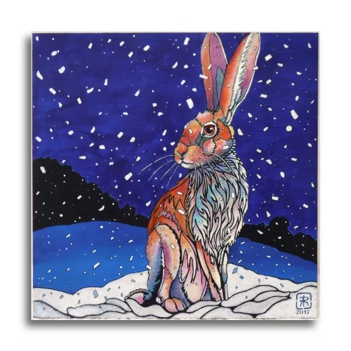 Curious Hare - Winter