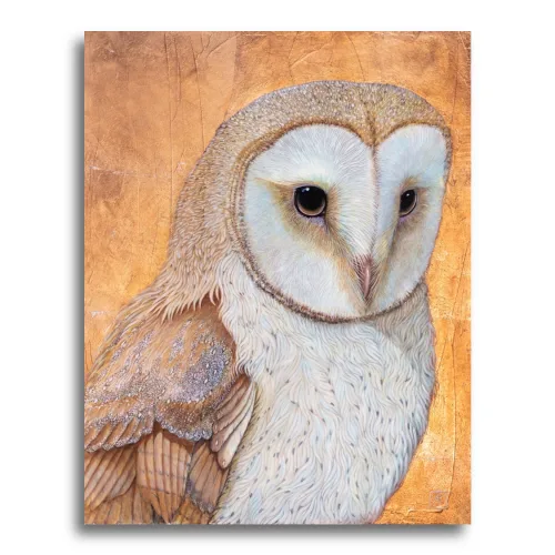 Barn Owl by Ann Richmond - A beautiful Fine-Art Print of a resting Barn Owl. Limited inventory remains in our Print Sale...