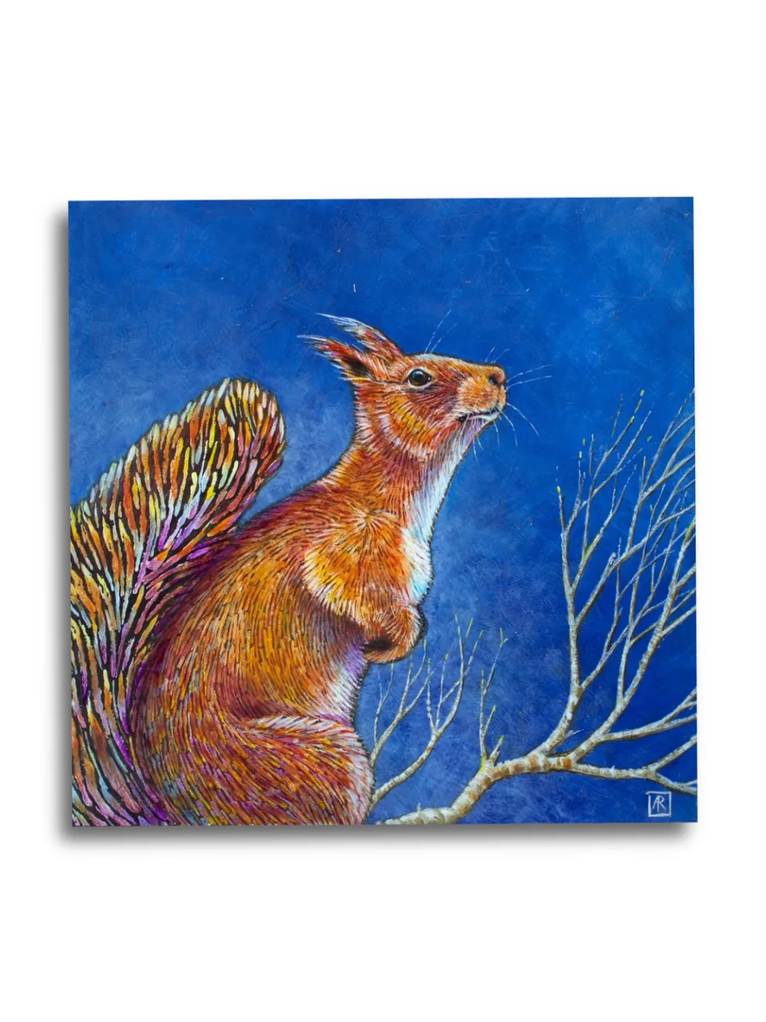 Rainbow Squirrel by Ann Richmond - A stunning, Original artwork featuring a colourful Squirrel. Painted in the artist's unique style... Framing available.