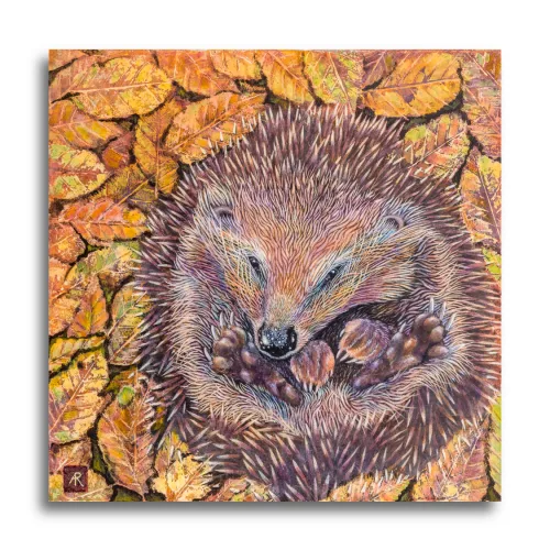 Sleepy Hollow by Ann Richmond - A Painting of a nesting Hedgehog. Limited inventory remains in our Print Sale...