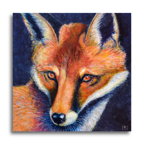 Renard by Ann Richmond - A Painting of a staring Red Fox. Limited inventory remains in our Print Sale...