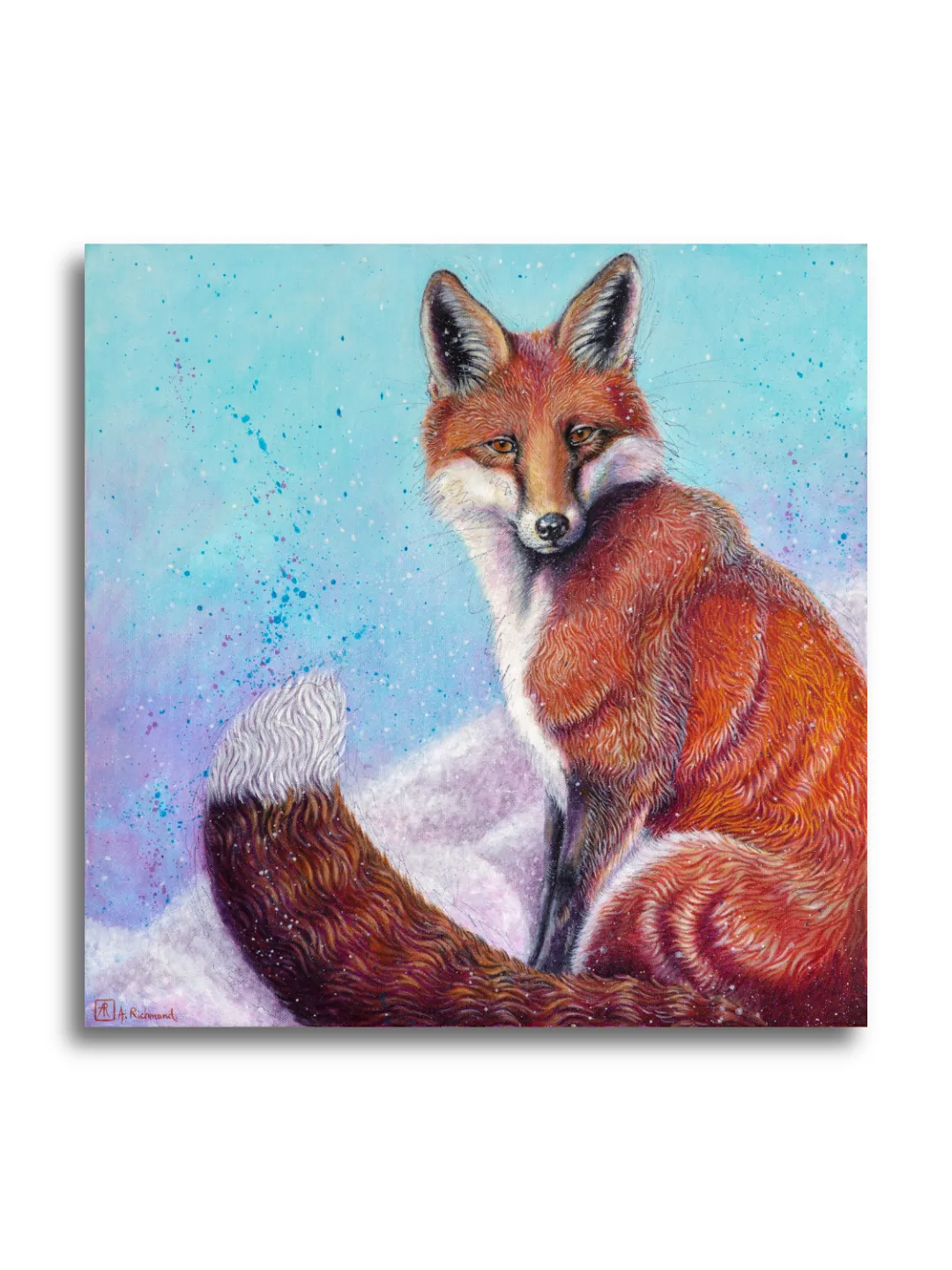 A Pause Between Acts by Ann Richmond - A beautiful Fine-Art Print of a resting Red Fox. Limited inventory remains in our Print Sale...