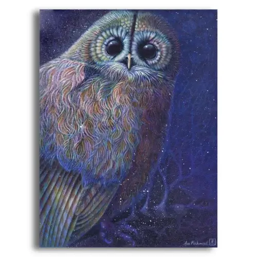 Moonlight Owl by Ann Richmond - A Painting of a moonlit Tawny Owl. C/W Letter of Provenance & Story. Framing Available.