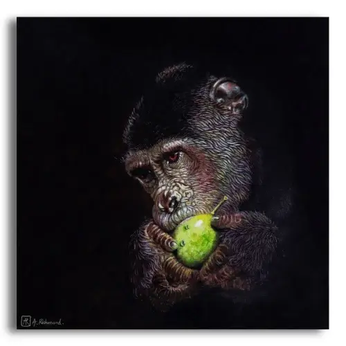Midnight Feast by Ann Richmond - A chiaroscuro Painting of a feasting Chimpanzee. C/W Letter of Provenance & Story. Framing Available.