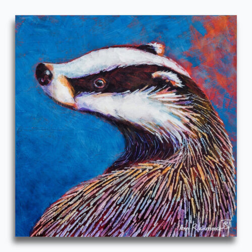 Rainbow's Shoulder by Ann Richmond - A beautiful artwork of a turning badger. Painted in the artist's unique style... Framing available.