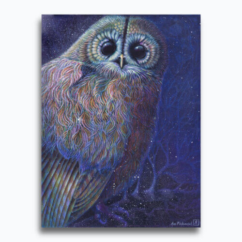 Moonlight Owl by Ann Richmond - An inspiring artwork of a moonlit Tawny Owl. Painted in the artist's unique style... Framing available.