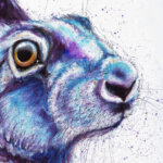 Purple Hare #2, painted by renowned UK wildlife artist Ann Richmond, is a soulful and captivating piece of wildlife art featuring a purple-tinged hare, vividly spattered with additional paint to imbue it with character and a sense of animation. Part of the Hares Collection, this artwork invites viewers into a soulful exploration of the enchanting world of hares, foxes, badgers, and more, all beautifully portrayed in Ann's distinctive style. Discover both the original work and fine-art prints of this exquisite piece at Otherwurlde.com.