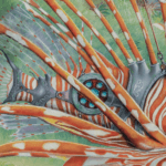 The Gossamer Thread, painted by renowned UK fantasy artist Ann Richmond, is a mysterious, ethereal artwork featuring a dryad guiding her lionfish companion down to the sea. Part of the Otherwurlde Collection—and created in collaboration with writer Gary Hyland—the piece transports viewers into a magical realm where armoured animals and evocative narratives come to life. Offered as affordable art with story, collectors can choose between the original artwork and an exclusive range of fine-art prints. Discover the enchantment at Otherwurlde.com.