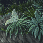 Leap of Faith, painted by renowned UK fantasy artist Ann Richmond, is an optimistic and supportive piece of fantasy art featuring a disparate band of animals taking a bold 'leap of faith' off a cliff. Part of the Otherwurlde Collection—and created in collaboration with writer Gary Hyland—the piece transports viewers into a magical realm where armoured animals and evocative narratives come to life. Offered as affordable art with story, collectors can choose between the original artwork and an exclusive range of fine-art prints. Discover the enchantment at Otherwurlde.com.