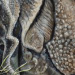 For Every Lock... painted by renowned UK fantasy artist Ann Richmond, is an enigmatic and beautiful piece of fantasy art featuring a Javan Rhino accompanied by other animals native to Java. Part of the Otherwurlde Collection—and created in collaboration with writer Gary Hyland—the piece transports viewers into a magical realm where armoured animals and evocative narratives come to life. Offered as affordable art with story, collectors can choose between the original artwork and an exclusive range of fine-art prints. Discover the enchantment at Otherwurlde.com.