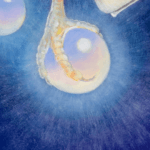 Midnight Messenger, painted by renowned UK fantasy artist Ann Richmond, is an ethereal and inspirational piece of fantasy art featuring a red kite and hedgehog on a mission... Part of the Otherwurlde Collection—and created in collaboration with writer Gary Hyland—the piece transports viewers into a magical realm where armoured animals and evocative narratives come to life. Offered as affordable art with story, collectors can choose between the original artwork and an exclusive range of fine-art prints. Discover the enchantment at Otherwurlde.com.