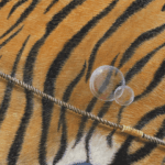 A Great Leap Forward, painted by renowned UK fantasy artist Ann Richmond, is an inspirational and wondrous piece of fantasy art featuring a tiger racing along the beach to keep a special kite aloft. Part of the Otherwurlde Collection—and created in collaboration with writer Gary Hyland—the piece transports viewers into a magical realm where armoured animals and evocative narratives come to life. Offered as affordable art with story, collectors can choose between the original artwork and an exclusive range of fine-art prints. Discover the enchantment at Otherwurlde.com.