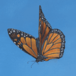 A Great Leap Forward, painted by renowned UK fantasy artist Ann Richmond, is an inspirational and wondrous piece of fantasy art featuring a tiger racing along the beach to keep a special kite aloft. Part of the Otherwurlde Collection—and created in collaboration with writer Gary Hyland—the piece transports viewers into a magical realm where armoured animals and evocative narratives come to life. Offered as affordable art with story, collectors can choose between the original artwork and an exclusive range of fine-art prints. Discover the enchantment at Otherwurlde.com.