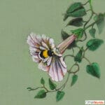 'Harebell...' features a vigilant Hare, who has suddenly heard the 'BUZZ!' of a bumblebee, but can't place the source: all he can see is the distinctive trumpet of a Morning Glory flower... Can YOU spot it? Painted by renowned UK wildlife artist Ann Richmond, the artwork comes alive with vibrant brush strokes over a richly textured canvas, capturing the delicate interplay of nature in a moment of quiet wonder. Each piece in The Wylde Ones is rendered in Richmond’s fresh, energetic, and gestural new style—a deliberate departure from her works in The Otherwurlde Collection. The backgrounds are carefully matched to hues from a heritage palette we affectionately call “Barrow & Fall”; complementing these striking and distinctive portrayals of British wildlife. Discover the original works and fine-art prints at Otherwurlde.com.