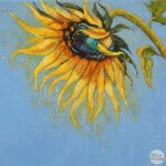 'Sunny Side Up!' This beautiful painting celebrates the noble fox at his best, as he stares awestruck at a glowing sunflower in all its glory. While it's true that you should 'never stare at the sun', we'd make an exception for this one! Painted by renowned UK wildlife artist Ann Richmond, the artwork comes alive with vibrant brush strokes over a richly textured canvas, capturing the delicate interplay of nature in a moment of quiet wonder. Each piece in The Wylde Ones is rendered in Richmond’s fresh, energetic, and gestural new style—a deliberate departure from her works in The Otherwurlde Collection. The backgrounds are carefully matched to hues from a heritage palette we affectionately call “Barrow & Fall”; complementing these striking and distinctive portrayals of British wildlife. Discover the original works and fine-art prints at Otherwurlde.com.