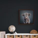 Highland Calf – Grey by innovative UK digital artist Gary Hyland captures the irresistible charm of a young Highland calf, its soft, tousled grey fur exuding a quiet elegance against a gentle, graduated petrol-blue background. This captivating piece from the Fauna Collection celebrates the endearing innocence of nature through a minimalist yet emotive composition, where delicate highlights in the calf’s coat subtly harmonise with the serene backdrop. A vision of rustic beauty and quiet grace, Highland Calf – Grey transports us to a timeless pastoral setting, infused with warmth and tranquillity. Discover original artworks and fine-art prints from this heartwarming series at Otherwurlde.com.