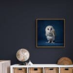 Barn Owlet, created by innovative UK digital artist Gary Hyland, captures the stunning innocence of a baby Barn Owl, delicately placed against a smoothly graduated rich sapphire-blue background. This enchanting piece from the Fauna Collection celebrates the purity and charm of nature through a minimalist yet captivating composition, where the subtle accents in the Owl's feathers resonate with the backdrop. An impossibly cute and gentle vision, Barn Owlet transports us to a timeless, unspoiled realm of natural beauty, blended with a subtle twist of colour. Discover original artworks and fine-art prints from this endearing series at Otherwurlde.com.