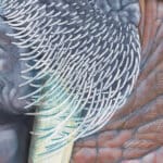 The Old Man of the Sea, painted by renowned UK fantasy artist Ann Richmond, is an evocative piece of fantasy art featuring an aged walrus and his loyal fairy terns. Part of the Otherwurlde Collection—and created in collaboration with writer Gary Hyland—the piece transports viewers into a magical realm where armoured animals and evocative narratives come to life. Offered as affordable art with story, collectors can choose between the original artwork and an exclusive range of fine-art prints. Discover the enchantment at Otherwurlde.com.