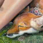 Playing With The Elements, painted by renowned UK fantasy artist Ann Richmond, is an evocative piece of fantasy art featuring a radiant Dryad encircled by creatures as she harmonises the elements of her world. Part of the Otherwurlde Collection—and created in collaboration with writer Gary Hyland—the piece transports viewers into a magical realm where armoured animals and evocative narratives come to life. Offered as affordable art with story, collectors can choose between the original artwork and an exclusive range of fine-art prints. Discover the enchantment at Otherwurlde.com.