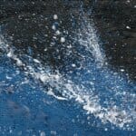 Quicksilver!, painted by renowned UK fantasy artist Ann Richmond, is a stunning and captivating piece of fantasy art featuring an Oranda carp and a hopeful frog in pursuit of a swift barracuda. Part of the Otherwurlde Collection—and created in collaboration with writer Gary Hyland—the piece transports viewers into a magical realm where armoured animals and evocative narratives come to life. Offered as affordable art with story, collectors can choose between the original artwork and an exclusive range of fine-art prints. Discover the enchantment at Otherwurlde.com.