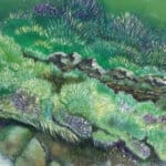 The Dreamcatchers, painted by renowned UK fantasy artist Ann Richmond, is a stunning and captivating piece of fantasy art featuring a grizzly bear and a hare as they deftly catch flying fish. Part of the Otherwurlde Collection—and created in collaboration with writer Gary Hyland—the piece transports viewers into a magical realm where armoured animals and evocative narratives come to life. Offered as affordable art with story, collectors can choose between the original artwork and an exclusive range of fine-art prints. Discover the enchantment at Otherwurlde.com.