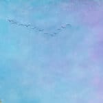 Pearls of Wisdom, painted by renowned UK fantasy artist Ann Richmond, is a mysterious and captivating piece of fantasy art featuring a vigilant eagle owl standing watch over a tranquil valley. Part of the Otherwurlde Collection—and created in collaboration with writer Gary Hyland—the piece transports viewers into a magical realm where armoured animals and evocative narratives come to life. Offered as affordable art with story, collectors can choose between the original artwork and an exclusive range of fine-art prints. Discover the enchantment at Otherwurlde.com.