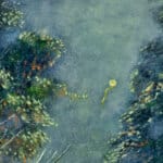 The One That Got Away... painted by renowned UK fantasy artist Ann Richmond, is a beautiful and enigmatic piece of fantasy art featuring an airborne sealion as she collects balloons in a magical forest... Part of the Otherwurlde Collection—and created in collaboration with writer Gary Hyland—the piece transports viewers into a magical realm where armoured animals and evocative narratives come to life. Offered as affordable art with story, collectors can choose between the original artwork and an exclusive range of fine-art prints. Discover the enchantment at Otherwurlde.com.