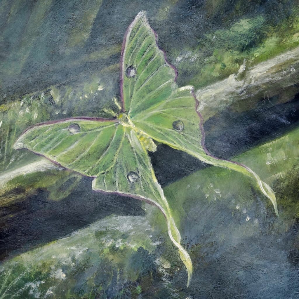 The One That Got Away... painted by renowned UK fantasy artist Ann Richmond, is a beautiful and enigmatic piece of fantasy art featuring an airborne sealion as she collects balloons in a magical forest... Part of the Otherwurlde Collection—and created in collaboration with writer Gary Hyland—the piece transports viewers into a magical realm where armoured animals and evocative narratives come to life. Offered as affordable art with story, collectors can choose between the original artwork and an exclusive range of fine-art prints. Discover the enchantment at Otherwurlde.com.