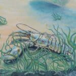 Follow the Leader?, painted by renowned UK fantasy artist Ann Richmond, is a provocative and stunning piece of fantasy art featuring a happy Indian elephant swimming towards shore whilst followed by a mixed shoal of tropical fish. Part of the Otherwurlde Collection—and created in collaboration with writer Gary Hyland—the piece transports viewers into a magical realm where armoured animals and evocative narratives come to life. Offered as affordable art with story, collectors can choose between the original artwork and an exclusive range of fine-art prints. Discover the enchantment at Otherwurlde.com.