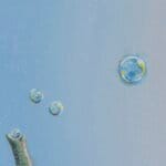 Follow the Leader?, painted by renowned UK fantasy artist Ann Richmond, is a provocative and stunning piece of fantasy art featuring a happy Indian elephant swimming towards shore whilst followed by a mixed shoal of tropical fish. Part of the Otherwurlde Collection—and created in collaboration with writer Gary Hyland—the piece transports viewers into a magical realm where armoured animals and evocative narratives come to life. Offered as affordable art with story, collectors can choose between the original artwork and an exclusive range of fine-art prints. Discover the enchantment at Otherwurlde.com.