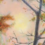 Pilgrim's Gather... painted by renowned UK fantasy artist Ann Richmond, is set in a rich, Autumnal woodland and introduces three companions on a journey of perseverance and spiritual awakening. Part of the Otherwurlde Collection—and created in collaboration with writer Gary Hyland—the piece transports viewers into a magical realm where armoured animals and evocative narratives come to life. Offered as affordable art with story, collectors can choose between the original artwork and an exclusive range of fine-art prints. Discover the enchantment at Otherwurlde.com.