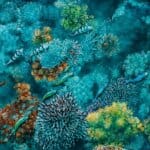 Steady As We Go... painted by renowned UK fantasy artist Ann Richmond, features a Green Sea Turtle as it 'flies' over a submerged cliff, in good company. In a scene rich with symbolism and emotion, it reinforces the notion that we're never alone; that any difficulty can be shared. Part of the Otherwurlde Collection—and created in collaboration with writer Gary Hyland—the piece transports viewers into a magical realm where armoured animals and evocative narratives come to life. Offered as affordable art with story, collectors can choose between the original artwork and an exclusive range of fine-art prints. Discover the enchantment at Otherwurlde.com.