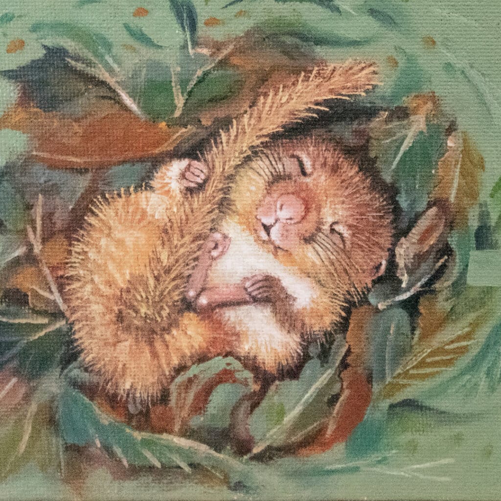 "Sweet Dreams..." painted by renowned UK wildlife artist Ann Richmond, is an endearing, timeless portrait featuring a hibernating Dormouse in a nest of leaves... The piece comes alive with vibrant brush strokes over a richly textured canvas, capturing the delicate interplay of nature in a moment of quiet wonder. Each piece in The Wylde Ones is rendered in Richmond’s fresh, energetic, and gestural new style—a deliberate departure from her works in The Otherwurlde Collection. The backgrounds are carefully matched to hues from a heritage palette we affectionately call “Barrow & Fall”; complementing these striking and distinctive portrayals of British wildlife. Discover the original works and fine-art prints at Otherwurlde.com.