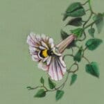 'Harebell...' features a vigilant Hare, who has suddenly heard the 'BUZZ!' of a bumblebee, but can't place the source: all he can see is the distinctive trumpet of a Morning Glory flower... Can YOU spot it? Painted by renowned UK wildlife artist Ann Richmond, the artwork comes alive with vibrant brush strokes over a richly textured canvas, capturing the delicate interplay of nature in a moment of quiet wonder. Each piece in The Wylde Ones is rendered in Richmond’s fresh, energetic, and gestural new style—a deliberate departure from her works in The Otherwurlde Collection. The backgrounds are carefully matched to hues from a heritage palette we affectionately call “Barrow & Fall”; complementing these striking and distinctive portrayals of British wildlife. Discover the original works and fine-art prints at Otherwurlde.com.