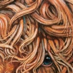 “Morag Munchin’” portrays a wonderfully characterful ginger Highland cow, contentedly chewing an ear of barley with a winning, slightly cheeky tilt of the head. As she munches, a delicate pale-pink butterfly drifts in to settle on one of her horns, completing a scene full of warmth and gentle countryside charm. Painted by renowned UK wildlife artist Ann Richmond, the artwork comes alive with vibrant brush strokes over a richly textured canvas, capturing the delicate interplay of nature in a moment of quiet wonder. Each piece in The Wylde Ones is rendered in Richmond’s fresh, energetic, and gestural new style—a deliberate departure from her works in The Otherwurlde Collection. The backgrounds are carefully matched to hues from a heritage palette we affectionately call “Barrow & Fall”; complementing these striking and distinctive portrayals of British wildlife. Discover the original works and fine-art prints at Otherwurlde.com.