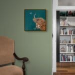 “Morag Munchin’” portrays a wonderfully characterful ginger Highland cow, contentedly chewing an ear of barley with a winning, slightly cheeky tilt of the head. As she munches, a delicate pale-pink butterfly drifts in to settle on one of her horns, completing a scene full of warmth and gentle countryside charm. Painted by renowned UK wildlife artist Ann Richmond, the artwork comes alive with vibrant brush strokes over a richly textured canvas, capturing the delicate interplay of nature in a moment of quiet wonder. Each piece in The Wylde Ones is rendered in Richmond’s fresh, energetic, and gestural new style—a deliberate departure from her works in The Otherwurlde Collection. The backgrounds are carefully matched to hues from a heritage palette we affectionately call “Barrow & Fall”; complementing these striking and distinctive portrayals of British wildlife. Discover the original works and fine-art prints at Otherwurlde.com.