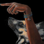 “Enlightenment II” revisits a beloved Otherwurlde scene through an African lens. A young Dryad holds out her hand to receive the wisdom of a bee, watched by creatures familiar from the African bush. Her pose precisely echoes that of the original painting, while the glowing bubble — and the tiny African bee within — becomes the enduring link between the two works: different worlds, united by the same quiet moment of wonder. Discover original paintings and collectable Fine-Art prints of “Enlightenment II” and other works from the collection, in a range of sizes at Otherwurlde.com.